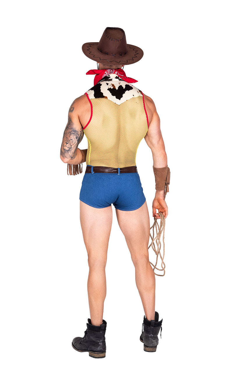 Sheriff Mens Costume