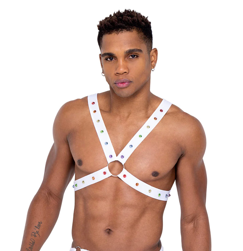 6337 - MEN’S PRIDE HARNESS